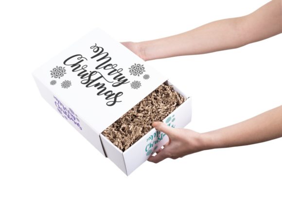 MERRY CHRISTMAS Decoration Sign: Graphics for Crafts